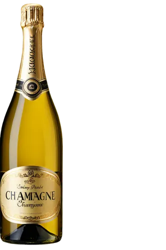 champagner,a bottle of champagne,champagen flutes,champagne bottle,bottle of champagne,champagne stemware,champagne color,champagne,sparkling wine,chardonnay,chamomille,champagne flute,chamomiles,champagne cocktail,a glass of champagne,champagne cup,champagne glass,bubbly wine,chamaemelum nobile,champagne glasses,Art,Artistic Painting,Artistic Painting 07