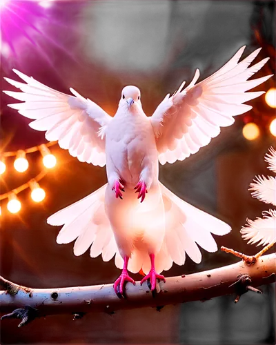 dove of peace,doves of peace,peace dove,white dove,white pigeon,white pigeons,doves,beautiful dove,dove,doves and pigeons,holy spirit,white grey pigeon,galah,carrier pigeon,white eagle,white bird,silver seagull,pigeon flying,vautour,seagull,Illustration,Realistic Fantasy,Realistic Fantasy 38