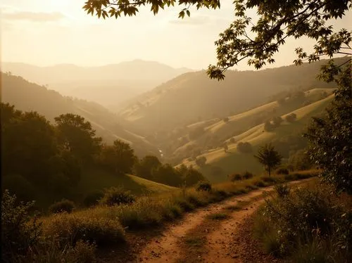 marin county,hiking path,hills,quartz sandstone peak woodland landscape,rolling hills,appalachian trail,jarbidge,sunol,trail,douro valley,mulholland,dirt road,mountain road,orinda,agoura,pyrenean,the hills,backroad,chemin,kentfield