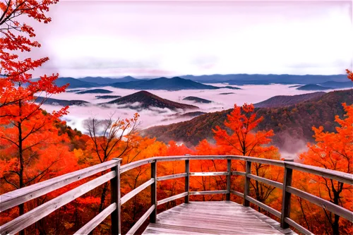 Rural landscape, Gobbler's Knob, mountain peak, autumn season, vibrant orange leaves, misty atmosphere, wooden observation deck, handrail, scenic overlook, panoramic view, 3/4 composition, warm color 