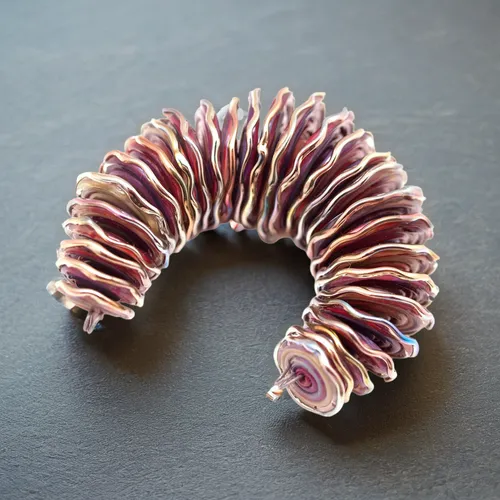 the bracelet lies on the table, the table is white, top view,spiny sea shell,chambered nautilus,rib cage,anago,sea shell,blue sea shell pattern,marine gastropods,jawbone,osprey claw,hair comb,deep sea