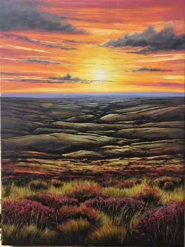 moorland,high moor,northumberland,exmoor,hare field,carol colman,purple landscape,prairie,rural landscape,desert landscape,salt meadow landscape,yorkshire,grasslands,autumn landscape,high landscape,north yorkshire moors,panoramic landscape,straw field,landscape red,brook landscape,Photography,Fashion Photography,Fashion Photography 09