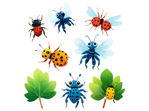 shield bugs,jewel bugs,beetles,jewel beetles,insects,ladybugs,bugs,blister beetles,scentless plant bugs,leaf beetle,flea beetle,leaf icons,scrapbook clip art,ticks,brush beetle,arthropods,small animals,stag beetles,two-point-ladybug,scarabs,Conceptual Art,Daily,Daily 07