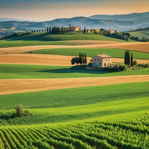 toscane,tuscany,toscana,tuscan,umbria,pienza,campagna,padania,piemonte,italy,monferrato,umbrian,tuscans,italia,maremma,bertinoro,montalcino,italie,lozzano,home landscape,Photography,General,Realistic