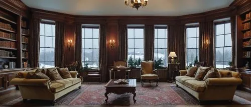 reading room,sitting room,study room,bookshelves,great room,wade rooms,livingroom,athenaeum,old library,living room,billiard room,brownstone,interiors,bookcase,danish room,library,luxury home interior,family room,ornate room,dandelion hall,Photography,General,Realistic