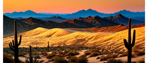 desert desert landscape,desert landscape,desert background,desert,the desert,sonoran desert,capture desert,sonoran,arid landscape,mojave desert,dune landscape,ariz,mesquite flats,desert plants,semidesert,desertlike,deserts,joshua trees,inyokern,tahquitz,Photography,Fashion Photography,Fashion Photography 05