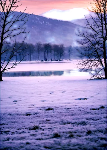 Winter tree, snow-covered branches, frozen lake background, bare trees, snowy mountains, frosty air, morning mist, soft sunlight filtering through snowflakes, 3/4 composition, shallow depth of field, 