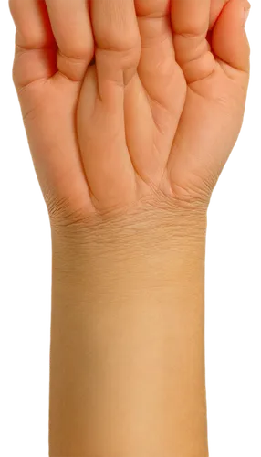 female hand,ulnar,child's hand,human hand,hand prosthesis,metacarpal,ganglion,forearms,polydactyly,handshape,carpal,syndactyly,interphalangeal,keratoderma,human hands,handgrip,contracture,carpel,pulgar,musician hands,Illustration,Paper based,Paper Based 21