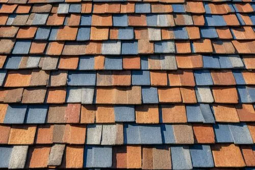 roof tiles,roof tile,terracotta tiles,tiled roof,house roofs,tiles shapes,almond tiles,roof landscape,shingles,house roof,tiles,shingled,shingle,roof panels,roofing,slate roof,terracotta,clay tile,ceramic tile,roofs,Illustration,Realistic Fantasy,Realistic Fantasy 42