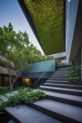 seidler,mfah,atriums,neutra,mcnay,skirball,adjaye,garden design sydney,vmfa,deyoung,gulbenkian,landscape design sydney,kaust,unsw,amanresorts,landscape designers sydney,biopolis,modern architecture,courtyard,ucsd,Art,Artistic Painting,Artistic Painting 38