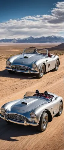 ford shelby cobra concept,ford shelby cobra,american sportscar,chevrolet corvette,american classic cars,corvette stingray,shelby cobra,ford thunderbird,jaguar xkss,classic cars,daimler sp250,bmw 507,corvette,vintage cars,auburn speedster,weineck cobra limited edition,buick classic cars,bonneville,ac cobra,aston martin short chassis volante,Art,Classical Oil Painting,Classical Oil Painting 17