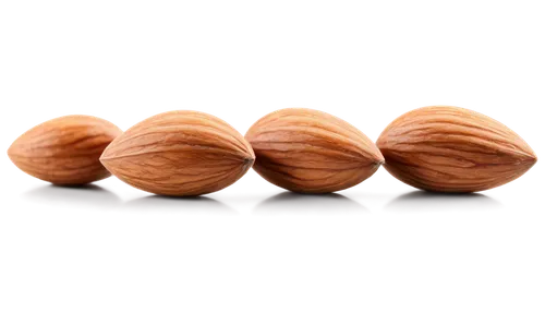 almond nuts,unshelled almonds,indian almond,walnuts,almonds,almond,hazelnuts,walnut,beaked hazelnut,acorns,pine nuts,wooden balls,areca nut,tree nut,pine nut,salted almonds,nut corners,almond oil,mixed nuts,nutmeg,Conceptual Art,Daily,Daily 08