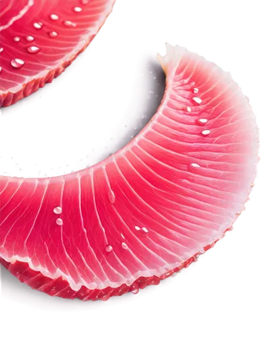 sliced watermelon,blood milk mushroom,sashimi,russula,endive,radicchio,red onion,bresaola,flaccid anemone,scallop,red garlic,anago,anti-cancer mushroom,red anemone,mushroom coral,jamón,blood cell,pink quill,lingzhi mushroom,ray anemone,Conceptual Art,Daily,Daily 32