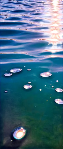 droplets of water,water pearls,ripples,water drops,drops of water,waterdrops,water surface,water droplets,reflection of the surface of the water,floaters,rippling,droplets,reflections in water,rainwater drops,waterscape,water flowers,reflection in water,dewdrops,water scape,on the water surface,Conceptual Art,Graffiti Art,Graffiti Art 07