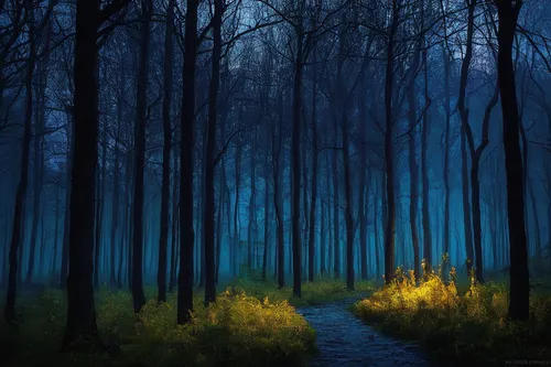 foggy forest,haunted forest,forest dark,forest path,forest of dreams,germany forest,black forest,forest landscape,enchanted forest,forest glade,forest,fairytale forest,the forest,forest floor,fairy forest,forest walk,holy forest,forest road,the woods,elven forest,Art,Classical Oil Painting,Classical Oil Painting 18