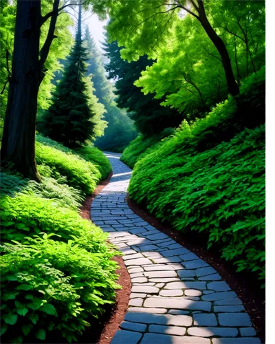 tree lined path,forest path,pathway,aaa,hiking path,the mystical path,the path,green forest,aa,path,wooden path,tree lined lane,green landscape,forest road,landscape background,the way of nature,walkway,wall,walk in a park,the way,Conceptual Art,Daily,Daily 25