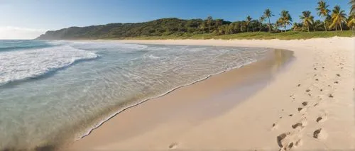 white sand beach,white sandy beach,footprints in the sand,beautiful beaches,white sand,south sea,Photography,General,Natural