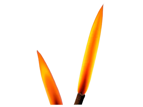 pencil icon,candle wick,flaming torch,olympic flame,fire logo,hand draw vector arrows,wax candle,decorative arrows,lighted candle,cleanup,barbecue torches,flameless candle,matchstick,torch tip,incenses,votive candles,unity candle,burning candle,pyrotechnic,spray candle,Art,Artistic Painting,Artistic Painting 48