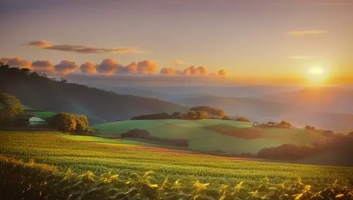 landscape background,rural landscape,meadow landscape,beautiful landscape,alsace,farm landscape,cornfield,mountainous landscape,corn field,rolling hills,landscapes beautiful,nature landscape,vegetable