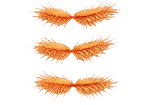 garridos,garrisons,garrisoned,carrot pattern,sunburst background,garrisoning,palm tree vector,garriott,wreath vector,garriga,tangerines,orange,orang,oranges,microtubules,softspikes,sliced tangerine fruits,uniphoenix,garrison,pieces of orange,Art,Classical Oil Painting,Classical Oil Painting 01