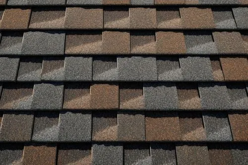 roof tiles,roof tile,tiled roof,slate roof,shingled,house roof,roof plate,roof landscape,shingles,house roofs,roof panels,shingling,roofing,the old roof,roofing work,shingle,terracotta tiles,tiles shapes,hall roof,almond tiles,Photography,Documentary Photography,Documentary Photography 29