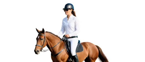 dressage,equestrian sport,equitation,kiberlain,equestrian,equerry,equestrianism,lusitano,cavalryman,horsewoman,jodhpurs,aqha,eventer,trakehner,arabian horse,mounted police,cuirassier,saddlebred,horseriding,andalusians,Conceptual Art,Graffiti Art,Graffiti Art 03