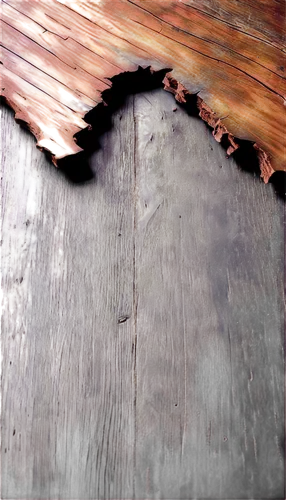 wooden roof,wooden beams,wood structure,wooden barrel,floorboards,on wood,the old roof,wood texture,floorboard,woodworm,half-timbered wall,wooden door,wooden wall,hammerbeam,knothole,rusty door,nest box,weatherboarded,old door,wood window,Conceptual Art,Fantasy,Fantasy 22