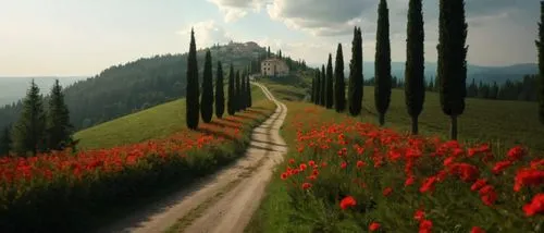 tuscany,toscane,toscana,tuscan,piemonte,langhe