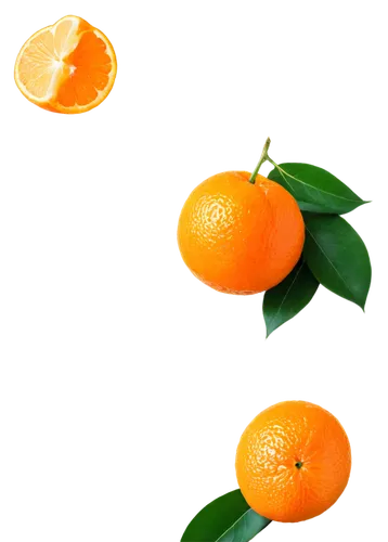 Jobo fruit, vibrant orange skin, green leafy top, juicy pulp, sweet aroma, detailed texture, soft natural light, 3/4 composition, shallow depth of field, warm color tone, cinematic lighting, isolated 