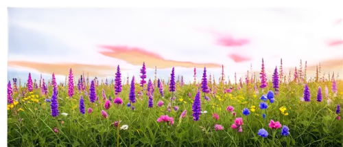 springtime background,flower background,spring background,tulip background,landscape background,meadow in pastel,3d background,background vector,background colorful,easter background,windows wallpaper,colorful background,nature background,purple landscape,children's background,crayon background,cartoon video game background,sunburst background,background view nature,floral digital background,Conceptual Art,Sci-Fi,Sci-Fi 08