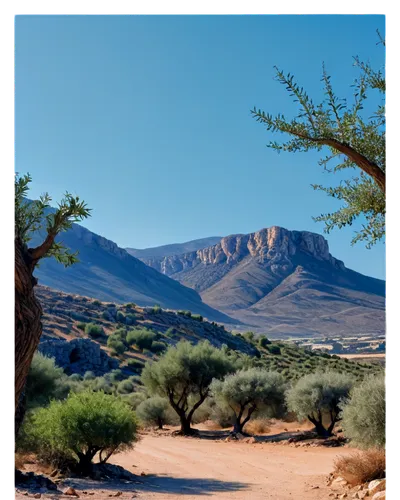 desert desert landscape,desert landscape,arid landscape,richtersveld,argan trees,nuweiba,transjordan,argan tree,damaraland,tamanrasset,desert background,adrar,landscapre desert safari,timna park,judaean desert,mojave desert,libyan desert,nabatean,capture desert,aravaipa,Illustration,Realistic Fantasy,Realistic Fantasy 30