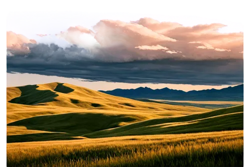 antelope island,dune landscape,great sand dunes,landscape background,ranchlands,castelluccio,grasslands,colorado sand dunes,aragats,salt meadow landscape,tussock,prairies,sand dunes,panoramic landscape,cheatgrass,gobi desert,steppe,kurai steppe,dune grass,mountain tundra,Illustration,Vector,Vector 06