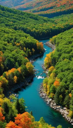 the chubu sangaku national park,river landscape,mountain river,paine national park,abe-e-panj river valley,west virginia,autumn in japan,new england,rio grande river,catarpe valley,vermont,fall landscape,hokkaido,united states national park,aura river,huka river,colors of autumn,slowinski national park,autumn scenery,raven river,Photography,Documentary Photography,Documentary Photography 06