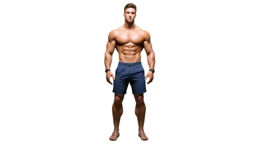 polykleitos,body building,standing man,biomechanically,obliques,vitruvian man,muscularity,human body,musculature,clenbuterol,athletic body,3d man,serratus,3d figure,anthropometric,bodyweight,latissimus,the human body,biomechanist,anthropometry,Photography,Documentary Photography,Documentary Photography 36