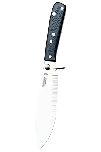 bowie knife,hunting knife,kitchen knife,kitchenknife,serrated blade,herb knife,utility knife,table knife,machete,colorpoint shorthair,sharp knife,knife kitchen,pocket knife,knife,swiss army knives,beginning knife,hand trowel,meat cutter,knives,trowel,Illustration,Abstract Fantasy,Abstract Fantasy 15