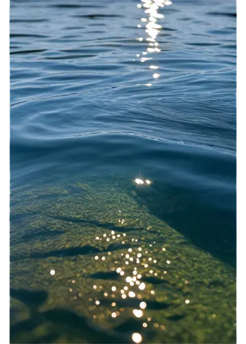 water surface,reflection of the surface of the water,green water,ripples,water scape,reflections in water,calm water,waterscape,shallows,on the water surface,reflection in water,water reflection,rippling,wasser,sea water,jezero,waterline,rippled,calm waters,greenwater,Illustration,Children,Children 06