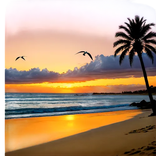 sunset beach,sunrise beach,tramonto,paradises,beautiful beaches,canary islands,beautiful beach,unset,easter sunrise,subset,unmiset,beach scenery,mazatlan,dream beach,tropical birds,caribe,palmbeach,tropical sea,tequila sunrise,image editing,Art,Classical Oil Painting,Classical Oil Painting 20