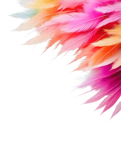 parrot feathers,color feathers,feather boa,feathers,feather,feather headdress,peacock feathers,peacock feather,beak feathers,chicken feather,feather carnation,feathers bird,ostrich feather,feather bristle grass,bird feather,plumage,pigeon feather,feathery,flowers png,prince of wales feathers,Illustration,Vector,Vector 02