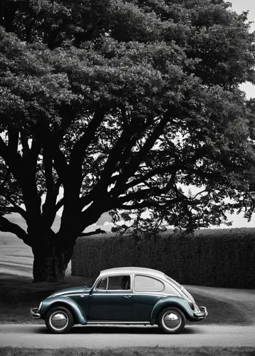 volkswagen beetle,volkswagen new beetle,vw beetle,the beetle,porsche 356,porsche 356/1,volkswagen 181,volkswagen 1-litre car,morris minor,volkswagen vw,aronde,vw model,citroën,morris minor 1000,citroën traction avant,volkswagen brasilia,volkswagen,citroën ds,citroën elysée,chrysler airflow,Photography,Black and white photography,Black and White Photography 01