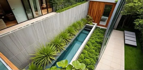 Koi pond in the backyard has a sink and door,a narrow backyard that has grass, grass and shrubs,landscape design sydney,garden design sydney,landscape designers sydney,grass roof,turf roof,roof garden