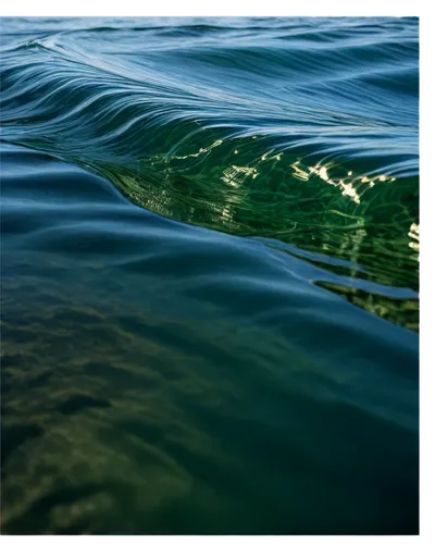 water surface,water waves,seagrass,seawater,rippled,green water,eelgrass,greenwater,shallows,ripples,water scape,waterscape,ocean underwater,wavelets,seawaters,seabed,ocean waves,seafloor,rippling,sea water,Conceptual Art,Fantasy,Fantasy 30