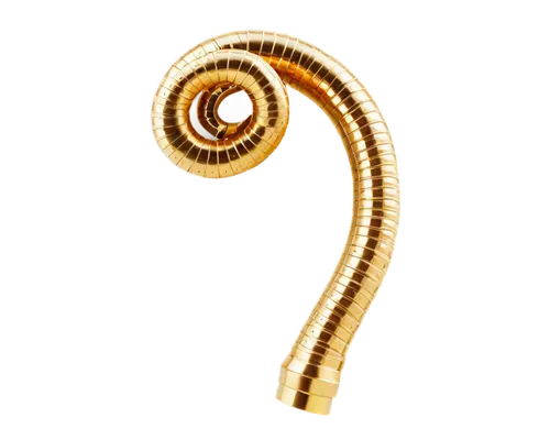 rod of asclepius,koru,spiral background,pseudoknot,auryn,hypostome,spiralis,spermatogonia,syringomyelia,spermatozoon,ercp,spiracle,spermatozoa,ankh,duodenal,pseudopod,shofar,golgi,ophiusa,schistosoma,Conceptual Art,Daily,Daily 11