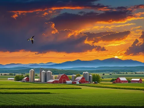 farmland panorama, city skyline background, golden hour lighting, sprawling fields, green crops, tractors at work, barns, silos, windmills, rural atmosphere, distant mountains, clear blue sky, fluffy 