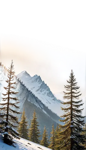 larches,alpine landscape,coniferous forest,mountain landscape,mountain scene,landscape background,larch forests,snowy peaks,winter background,salt meadow landscape,spruce trees,snow landscape,snowy mountains,mountain slope,spruce forest,winter landscape,snowy landscape,nature background,mountainous landscape,fir forest,Photography,Documentary Photography,Documentary Photography 10