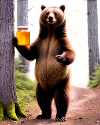 bearman,nordic bear,bearse,bearlike,ursine,bearmanor,brown bear,cute bear,bear,bearss,bearishness,great bear,beer,beerman,scandia bear,beary,little bear,orso,slothbear,bearup,Illustration,Black and White,Black and White 14