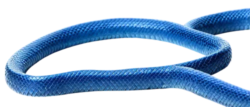 curved ribbon,blue snake,flagellum,roundworms,microtubules,microtubule,ercp,elastic rope,nanotubes,microfilaments,nonwoven,roundworm,flagella,flagellar,elastomers,bilayer,dna helix,campylobacter,sporulation,mooring rope,Photography,Fashion Photography,Fashion Photography 22