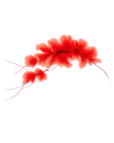 cherry shrimp,botan shrimp,freshwater prawns,ornamental shrimp,anemone shrimp,prawn,the best sweet shrimp,free-shrimps,shrimps,small shrimp,caridean shrimp,arctic sweet shrimp,shrimp,north sea shrimp,pilselv shrimp,prawn ball,cleaning shrimp,barrel shrimp,dried shrimps,frozen shrimp,Conceptual Art,Oil color,Oil Color 13