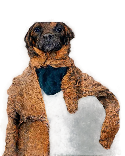 kinkajou,fossa,psittacosaurus,oberweiler,pugalur,frug,therapsid,dogana,brown dog,meerkat,puga,pug,gundogmus,rottweiler,edgar,mcgruff,tiger png,borophagus,wedag,red meerkat,Conceptual Art,Oil color,Oil Color 18