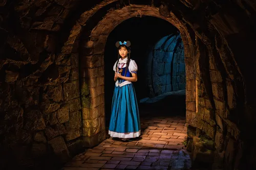 tokyo disneysea,disney sea,tokyo disneyland,cinderella,alice,princess anna,alice in wonderland,disney character,fairy door,shanghai disney,magical adventure,fairy tale character,sleeping beauty castle,mystical portrait of a girl,disneyland park,walt disney world,disney-land,hanbok,mulan,disney,Photography,Documentary Photography,Documentary Photography 21