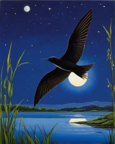 night bird,nocturnal bird,bird painting,chimney swift,munia,constellation swan,sea swallow,swallow,swallows,european swallow,birds of prey-night,migratory bird,atala,bird migration,bird illustration,night scene,black macaws sari,migratory birds,swifts,magpie,Illustration,Japanese style,Japanese Style 13